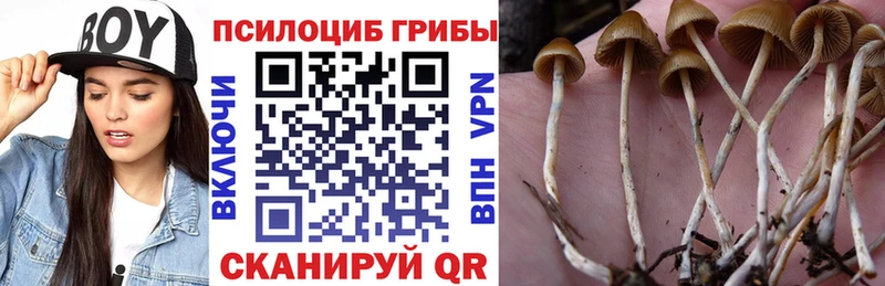Галлюциногенные грибы мухоморы  Оленегорск 